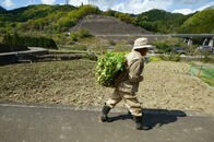 山梨県東部「郡内地方」を横断　交通の要衝を徒歩で実感する