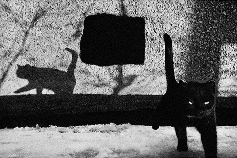 From Evgeniya Gor <a href=\"https://www.instagram.com/p/Bo1ThZ2hUAS/\"target=\"_blank\"><u>@gykavka</u></a>