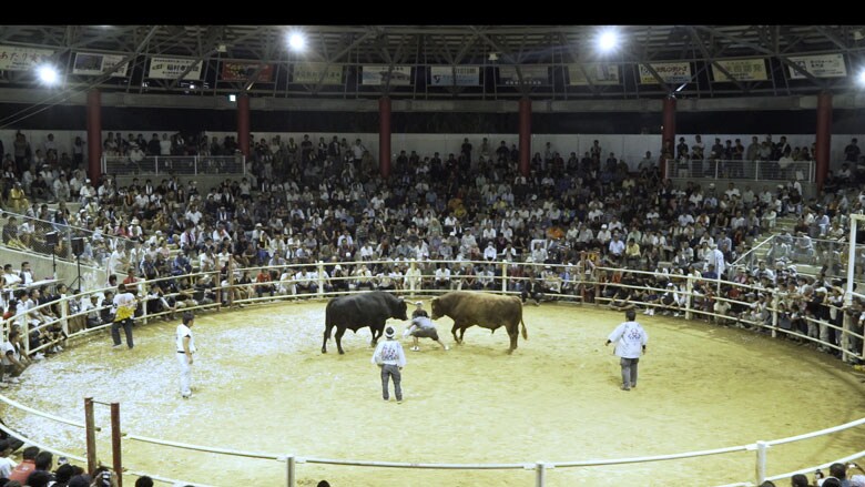 Photos: Pen Magazine International