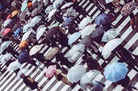 日本は四季から「二季」へ？ 人生の「青春」も「白秋」も季節の風物詩も失われつつある？