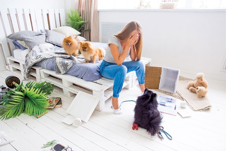 犬との暮らしが幸せかどうかは、吠え癖などの望ましくない行動が生むストレスや飼い主本人の性格に左右される　ELENA NICHIZHENOVA/SHUTTERSTOCK