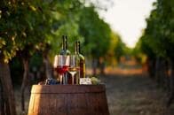 知られざるワインの新名所は？　まだ世界が知らない穴場へ