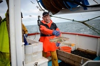 イギリスの漁師は90％がEU離脱支持──農家は半々