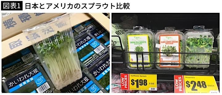 日本とアメリカのスプラウトの比較
