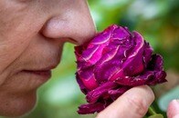 そこにない幻の匂いを感じる「異嗅症」を知ってる？