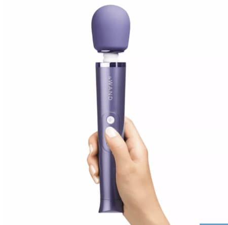 7. Le Wand Petite Rechargeable Massager.png