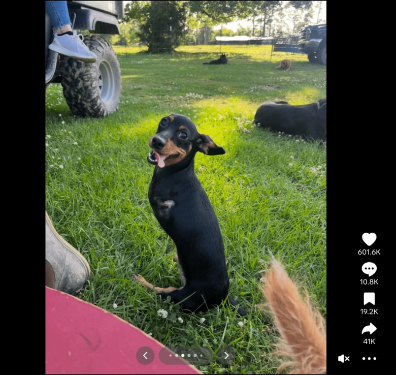 スクリーンショット 2025-09-03 19.12.54.png