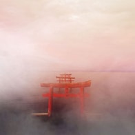 日本の写真は「自撮り、食べ物、可愛いペットが多い」