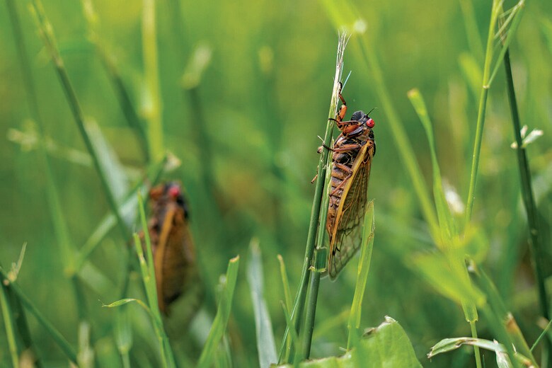 SEAN RAYFORD/GETTY IMAGES