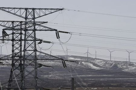 　２月１０日、中国政府は、各地域の送電会社に対して、買い取る電源で再生エネルギーが占める割合を昨年の２８．２％から段階的に引き上げ、２０３０年までに４０％にすることを義務付ける。写真は河北省で２０１６年３月撮影（２０２１年　ロイター／Jason Lee）