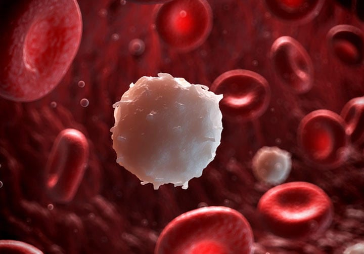 血液中に「がんの素」を見つける　Eraxion/iStock.