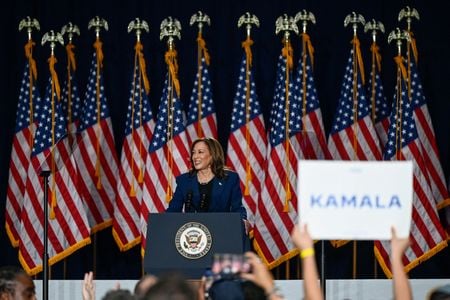 ロイター／イプソスの世論調査から、１１月の米大統領選に向けて民主党の大統領候補となる見込みのハリス副大統領（写真）の支持率が、共和党の大統領候補に指名されたトランプ前大統領をリードしていることが分かった。（２０２４年　ロイター/Vincent Alban）