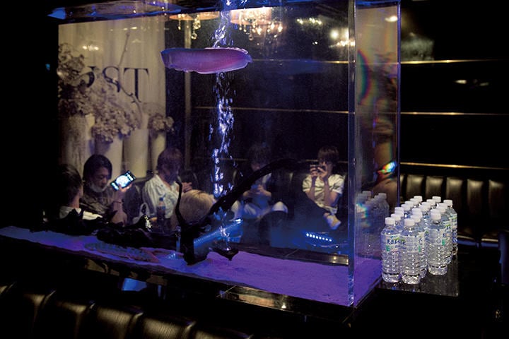 開店前のホストクラブ「OPUST」に集う20代のホストたち　HAJIME KIMURA FOR NEWSWEEK JAPAN