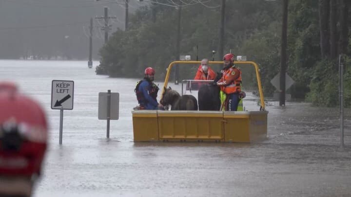 豪最大都市・シドニーでは、週末の集中豪雨で郊外の一部地域が洪水に見舞われたことを受け、住民数千人に新たに避難指示が出された。写真は3日、浸水したシドニー近郊ミルペラで、ポニーを救助した救助関係者。動画より（2022年　ロイター/NSW State Emergency Service）