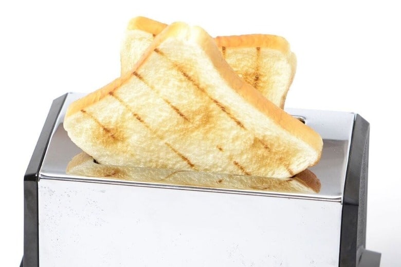 PublicDomainPictures-pixabay