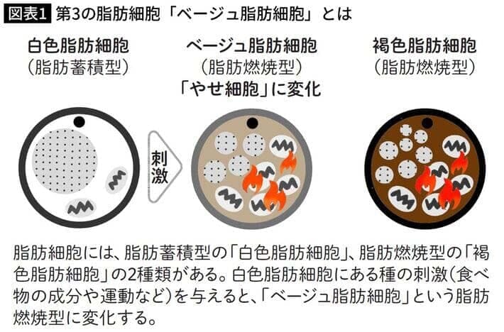 newsweekjp20250718051146.jpg