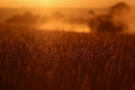 ブラジル最南端のリオグランデ・ド・スル州ナオ・メ・トケの農場で、大豆の収穫期に撮影（2025年4月4日撮影）。 REUTERS/Diego Vara
