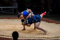 相撲人口の半分は女性、ブラジルで女性力士が増加している理由とは？