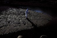 【写真特集】置き去りにされた被災者家族の願い