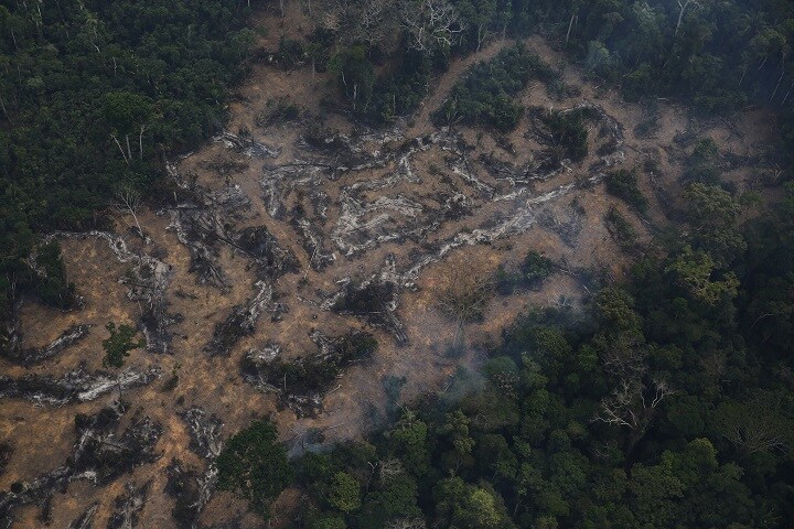 アマゾンのジャングルに約80いるとみられる文明を知らない部族の暮らしが、森林破壊で暴かれつつある（ブラジル西部ロンドニア州、2015年11月）　Nacho Doce- REUTERS