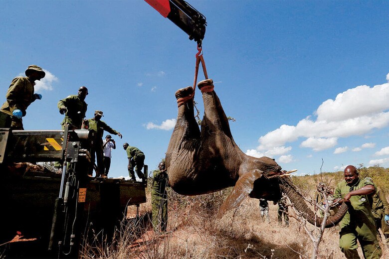 THOMAS MUKOYAｰREUTERS
