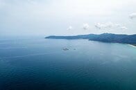 深海に沈んだ牛の死骸に群がり食い荒らす「謎の巨大生物」たちをカメラが捉えた…その正体は？