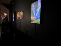 NFTブームが過熱　投機群がりバブル危ぶむ声も