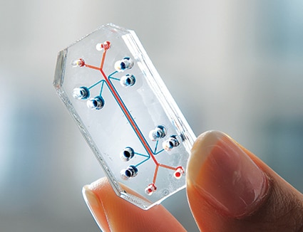 ハイテクを駆使した「臓器チップ」が新薬開発の頼もしい助っ人に　WYSS INSTITUTE/HARVARD