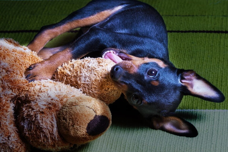 （写真はイメージです）　Olga_Kotsareva-iStock