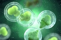 健康長寿の鍵は「慢性炎症」にある...「免疫の掃除」が追いつかなくなっている状態とは？