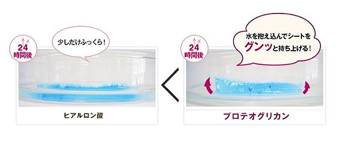 「プロテオグリカン」はヒアルロン酸をもはるかに超える驚異の保水力をもつ