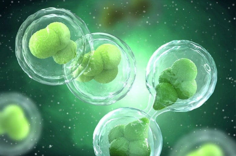 sokolova_sv-shutterstock