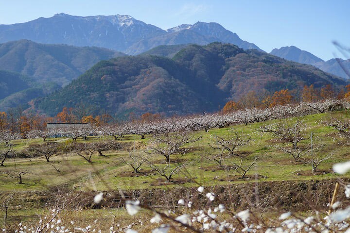 撮影：内村コースケ