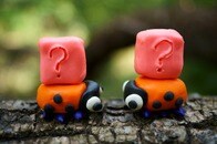 【写真】南米の男性、風呂場で「見たこともない」奇妙な形状の生物を発見...「見た瞬間に鳥肌」「気持ち悪すぎる」