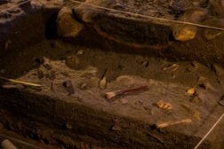 「極めて希少な」新生児の遺骸が200年前の墓地から出土…毛髪もくるんだ布もそのまま残る