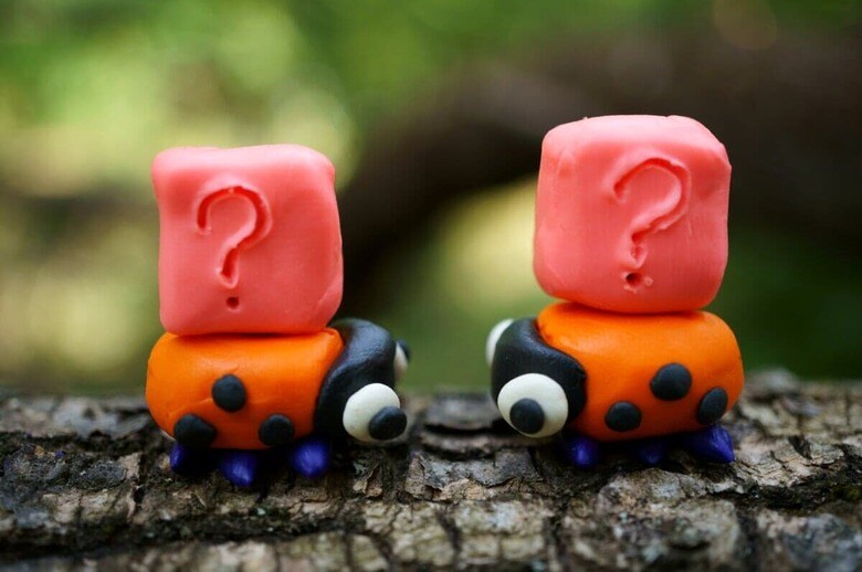 stasB／Shutterstock