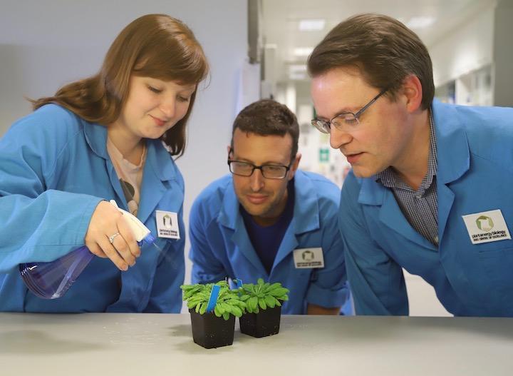 水は、植物が生きるために不可欠なものだけれど......   Martyna Broda Owen Duncan and Harvey Millar  image courtesy of UWA