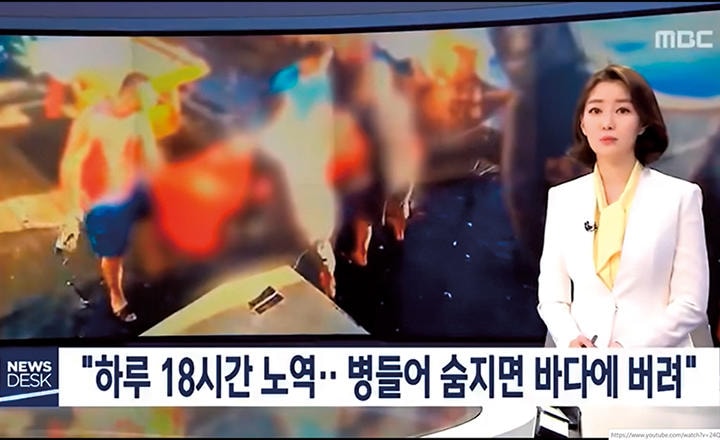 韓国MBCが遺体遺棄の映像を報道　SCREENSHOT/MBC NEWS