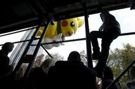 サウジ聖職者団体、「ポケモンは反イスラム」との宗教令を更新