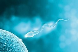 禁欲は逆効果？精子の「ためすぎ」が質を下げる可能性