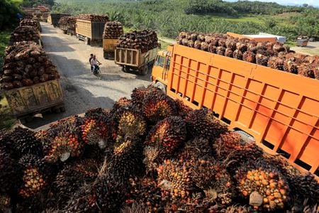 　８月２６日、インドネシアの関税担当首席交渉官を務めるアイルランガ経済担当調整相は、ロイターとのインタビューで、米国がインドネシアのココア、パーム油、ゴムを今月７日から課している１９％関税から免除することで基本的に同意したと明らかにした。写真はインドネシアの西アチェのパーム油の工場。２０２２年５月、インドネシアの西アチェで撮影（２０２５年　ロイター/Syifa Yulinnas）