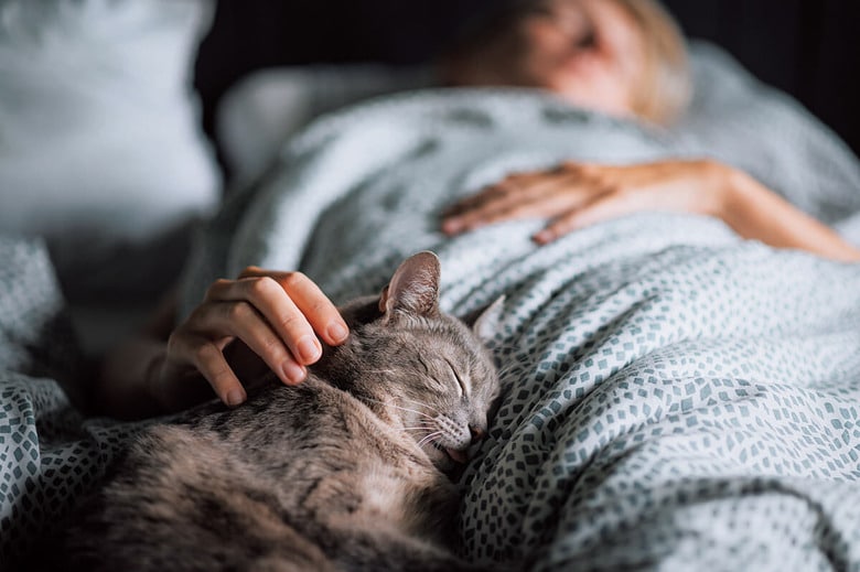 猫の睡眠パターンは人間とは違うから、添い寝は飼い主の睡眠の質を低下させる恐れがある　PYROSKY/ISTOCK