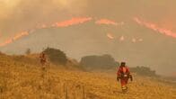 欧州熱波の影響拡大、死者増加　山火事・水不足も