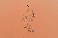 中国政府を悩ませる2つの「雨」──1つは香港、もう1つは......