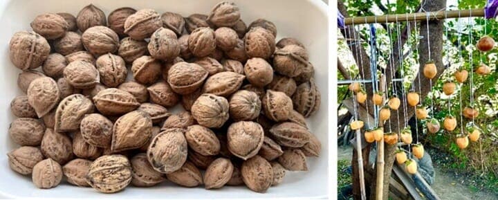 荒川河川敷のホームレス