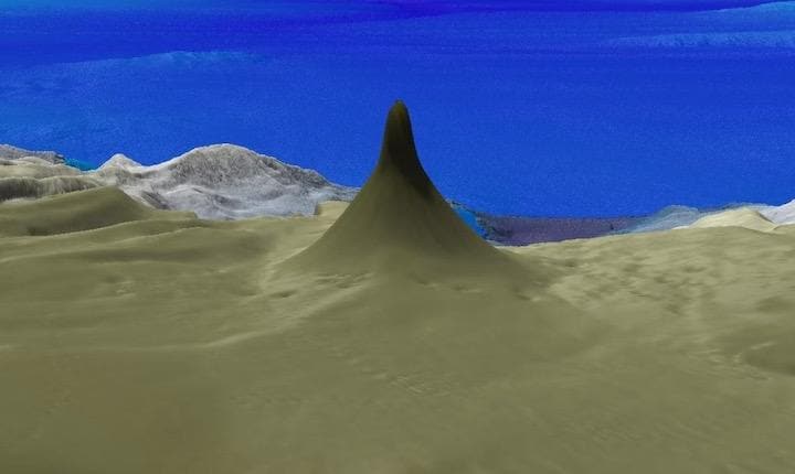 500メートル超の巨大なサンゴ礁が見つかった...... (Schmidt Ocean Institute)