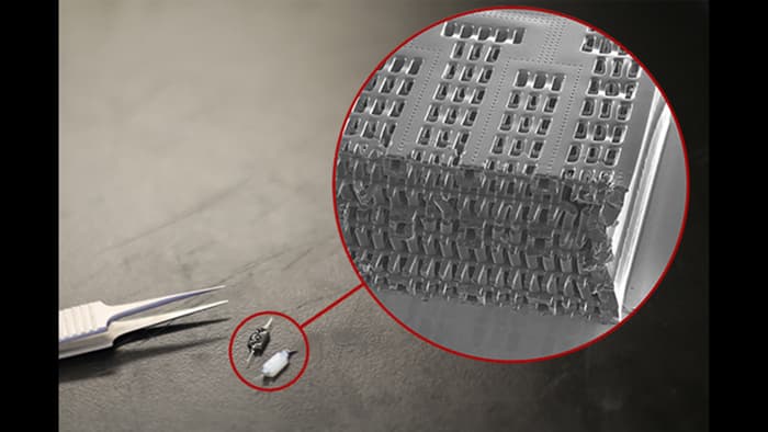 生きた細胞が含まれる液体に浸けると、細胞は人工血管の内外にくっついて成長を始める。(Image: Tyler Irving/Boyang Zhang/Kevin Soobrian)