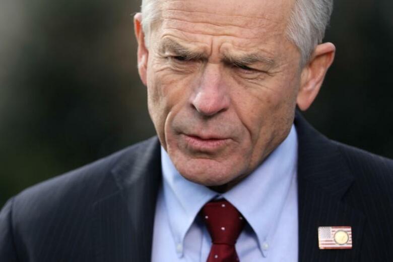 ナバロ米大統領補佐官は、中国から送られてきた新型コロナウイルスの抗体検査キットが低品質で偽造品だと述べ、中国が新型コロナのパンデミックから「不当な利益」を得ていると非難した。ホワイトハウスで2018年撮影（2020年　ロイター／Jonathan Ernst）