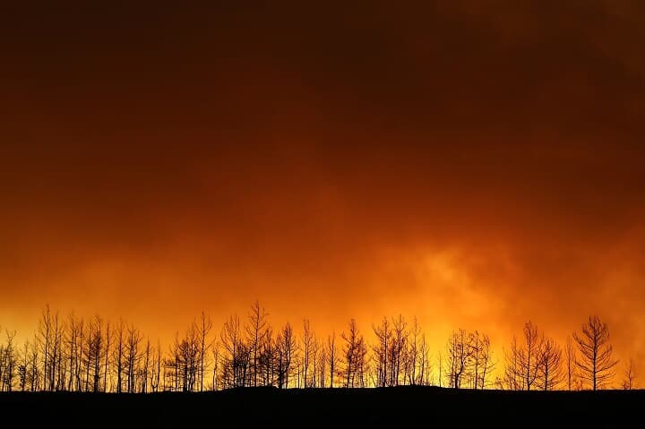 トルコは昨夏、過去20年間の火災被害の総面積を上回る規模の山火事に見舞われた（2021年7月29日、トルコ南部マナウガト）　Kaan Soyturk-REUTERS